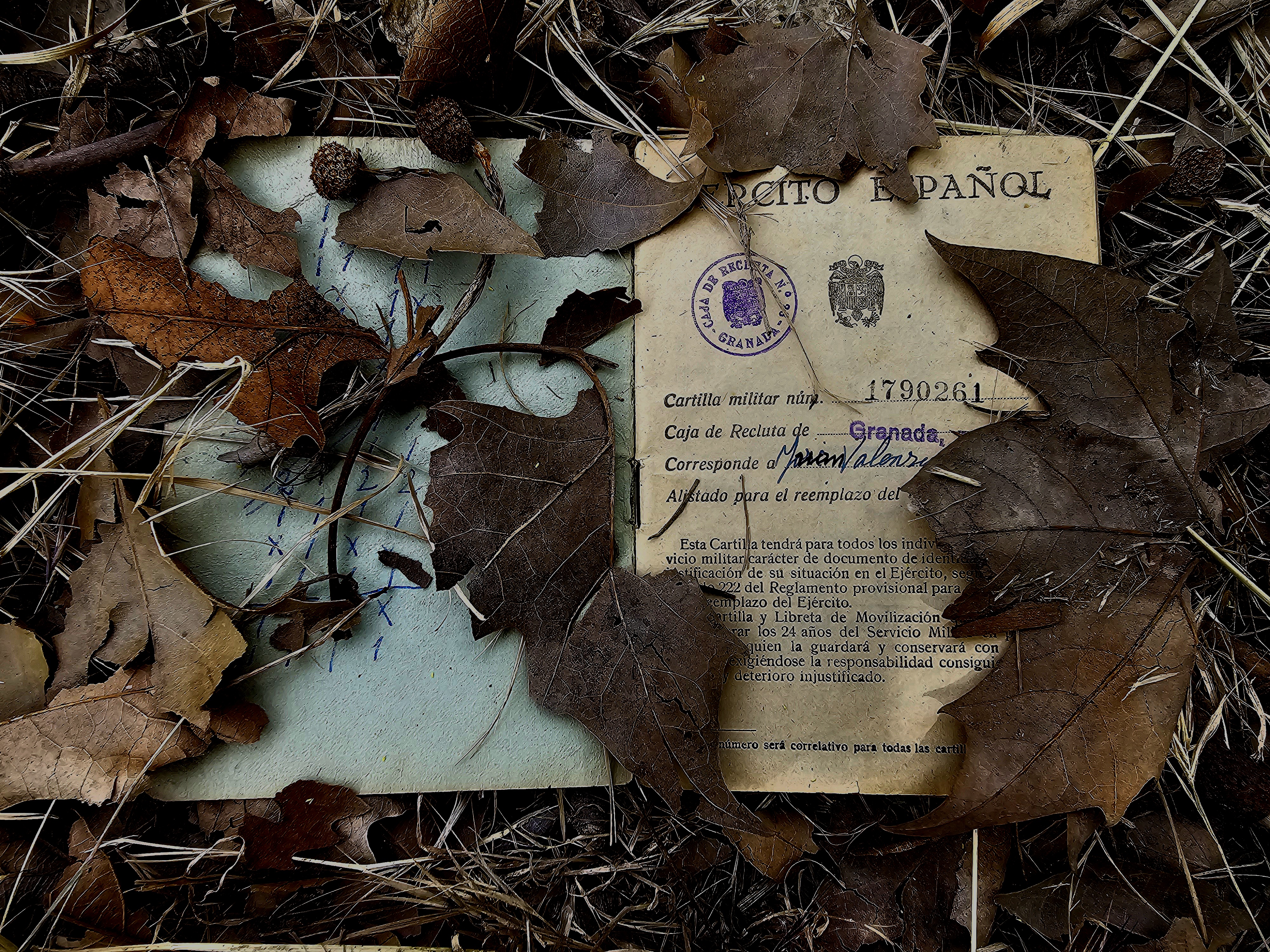 VOTO POPULAR ANTONIO ORTIZ VALENZUELA.jpg